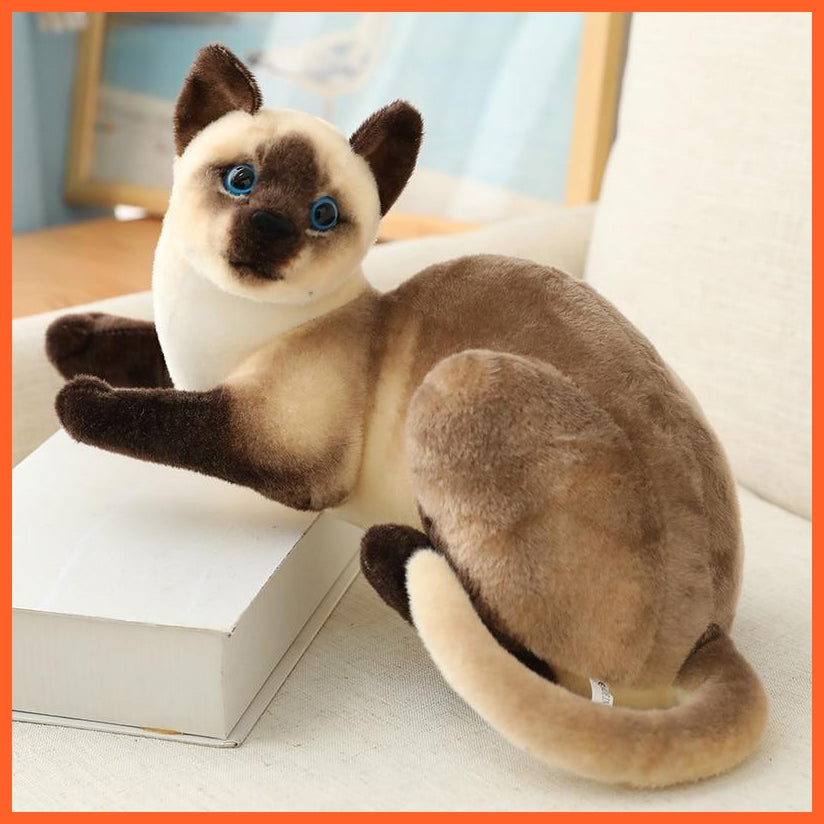 26/30/40Cm Real-Life Cute Plush Cat | Soft Stuffed Animal Plush Kitten Toys | Birthday Gift For Children Kids Girls | whatagift.com.au.