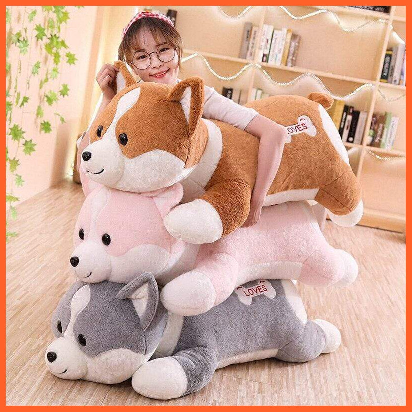 Bears 100 shop Merchandise kids collectibles