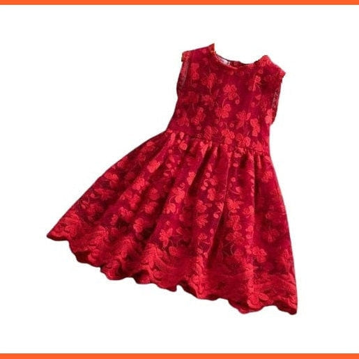 whatagift Princess Embroidery Girls Flower Lace Dresses