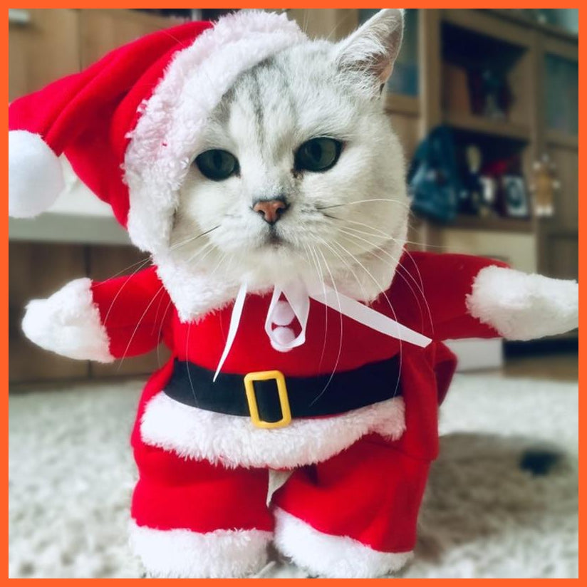 Christmas Pet Cat Costumes | Christmas Clothes For Dogs And Cats | whatagift.com.au.