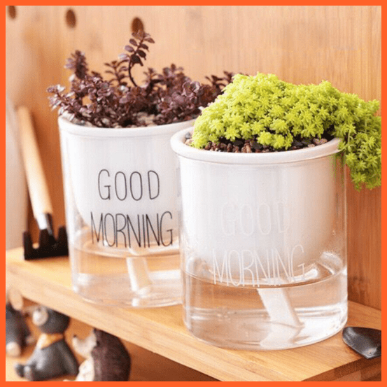 Self Watering Plant | Flower Pot Smart Water Container | Oz Stock Fast Shipping | whatagift.com.au.
