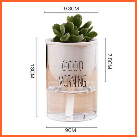 Self Watering Plant | Flower Pot Smart Water Container | Oz Stock Fast Shipping | whatagift.com.au.