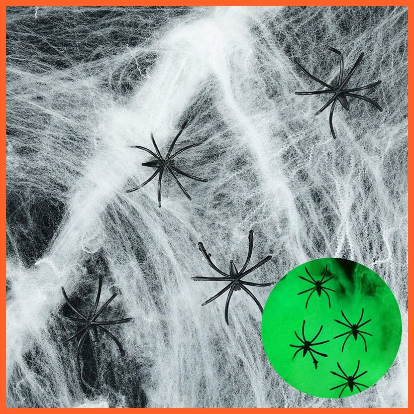 whatagift.com.au SET 50pcs Fake Luminous Spiders Glowing Props for Halloween Decoration | Mini Plastic Black Spiders