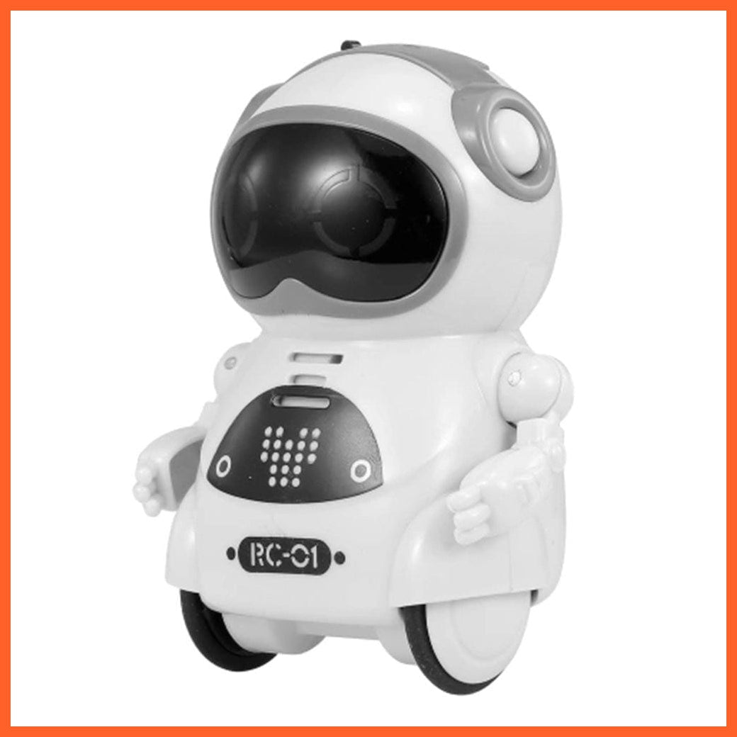 Smart Mini Pocket Robot