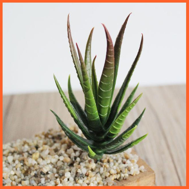 Artificial Succulents Plants | whatagift.com.au.