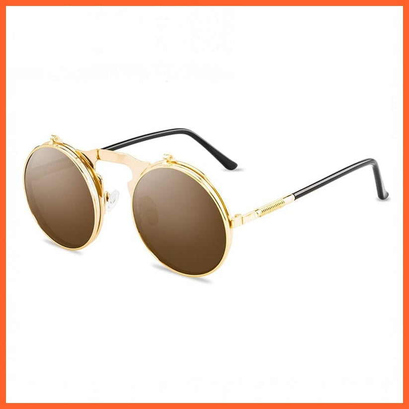 whatagift.com.au Sunglasses Gold Tea / Other Vintage Steampunk Flip Sunglasses | Men Women Retro Round Metal Frame Glasses