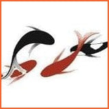 whatagift.com.au Tattoo Dark Coffee 2 Waterproof Cute squirrel fox dog rabbit owl Cat animal tattoo stickers