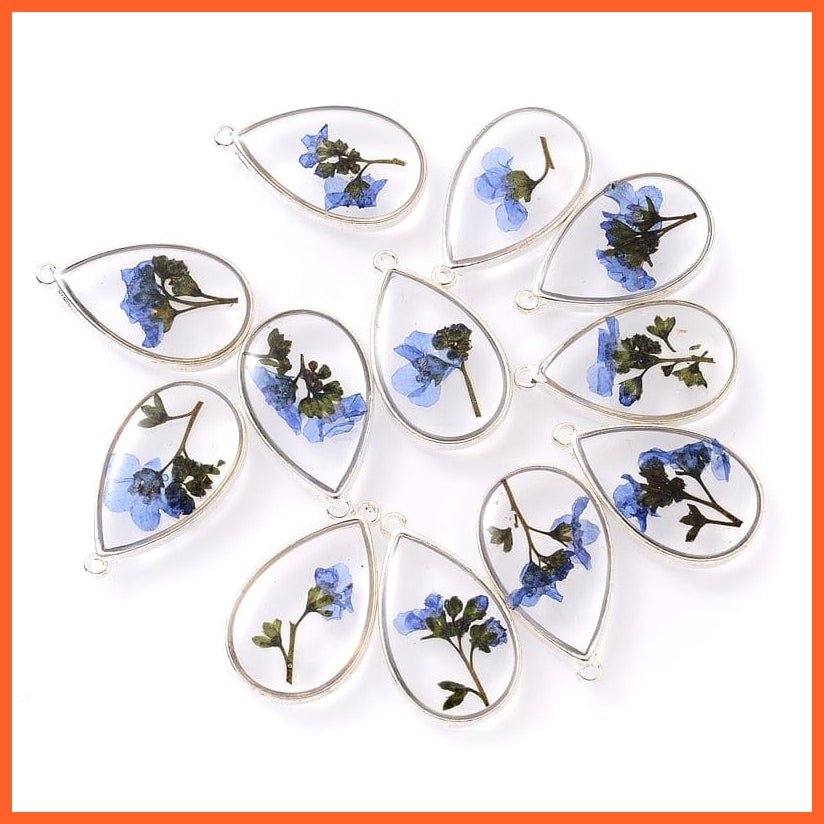 whatagift.com.au Water Blue 3-4Pcs Oval Transparent Resin Real Dried Flower Petal Charms Pendant for Jewelry Making
