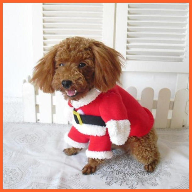Christmas Pet Cat Costumes | Christmas Clothes For Dogs And Cats | whatagift.com.au.