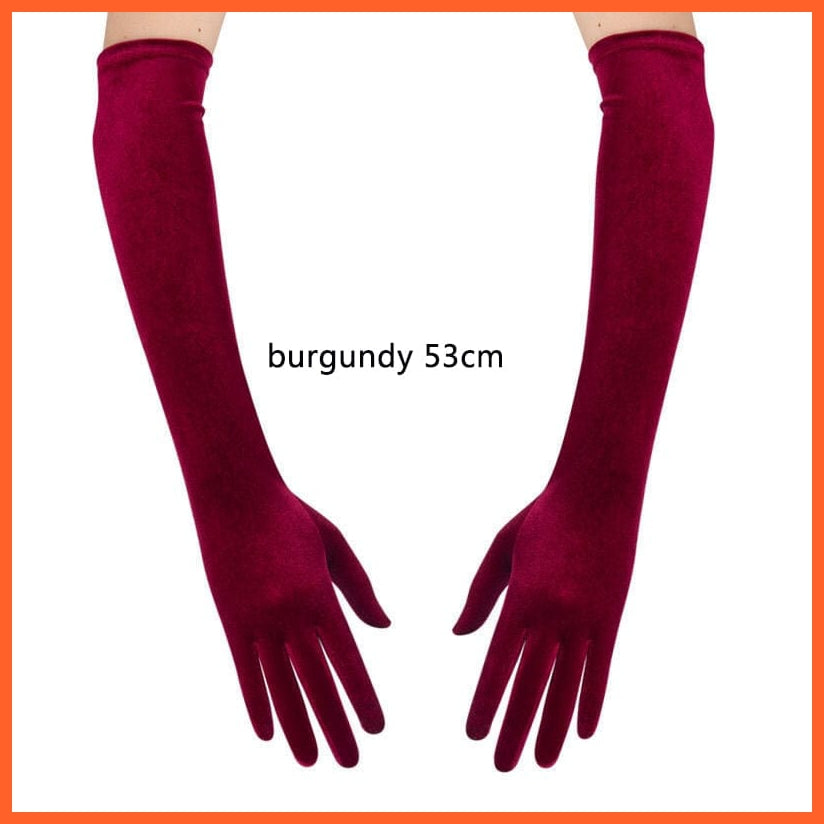 whatagift.com.au Women's Gloves burgundy 53cm / One Size Women Velvet Winter Warm Black Retro Style Gloves