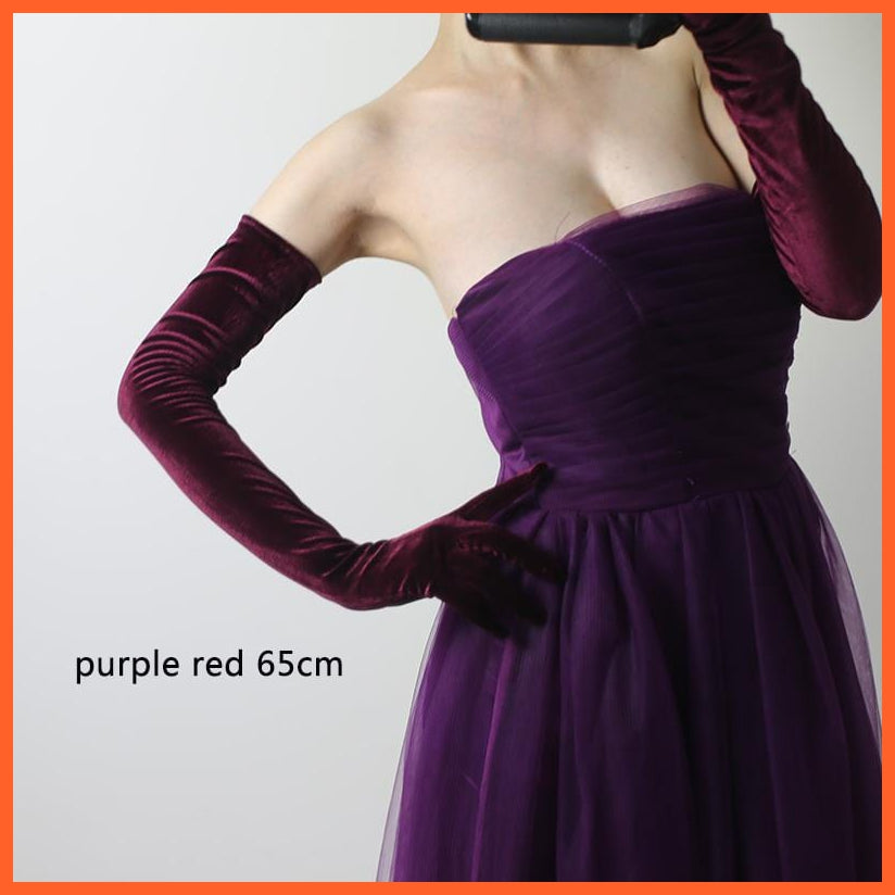 whatagift.com.au Women's Gloves purple red  65cm / One Size Women Velvet Winter Warm Black Retro Style Gloves